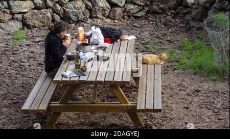 Woman preparing camping meal on a table while cat is relaxing Stock Photo