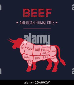 Vector illustration of American primal beef meat cuts diagram, US scheme for butcher shop Stock Vector