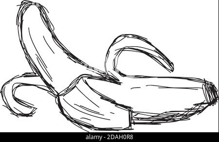 illustration vector doodle hand drawn of sketch peeled banana isolated Stock Vector