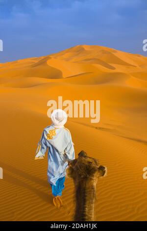 Man leading camel in desert with women sitting on top ...