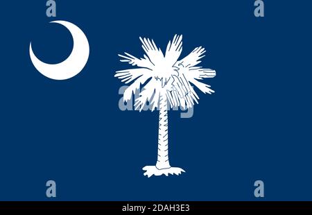 flag of USA state South Carolina Stock Vector