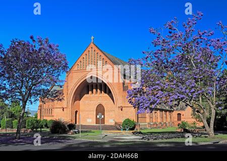 Anglican Cathedral Church of Christ the King. Also known as Christ Church Cathedral. Grafton NSW Australia. Two flowering jacaranda trees are in front Stock Photo