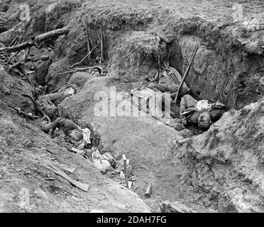 The Battle of the Somme, July-November 1916. Flies and maggots on dead German soldiers in a captured German trench. Near Ginchy. August 1916 Stock Photo