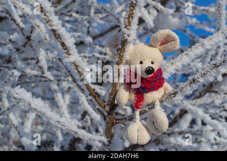 Christmas toy mouse, a symbol of the Chinese New Year. In a red knitted scarf sits on snowy branches. The concept of winter, warmth and comfort Stock Photo