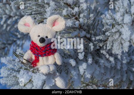 Christmas toy mouse, a symbol of the Chinese New Year. In a red knitted scarf sits on snowy pine branches. The concept of winter, warmth and comfort. Stock Photo