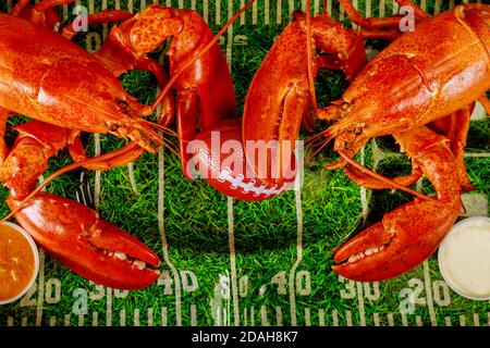 Two red cooked lobsters on green plate with football ball. American football concept. Stock Photo