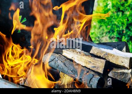 Yellow fire with wood and log. Close up. Stock Photo
