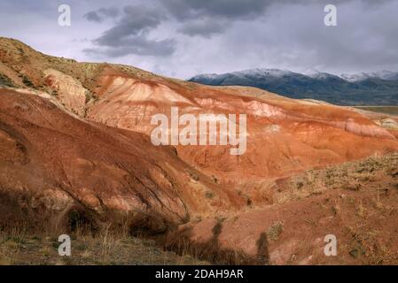 Colorful steppe desert landscape with multicolored mountains, cracks in the ground and sparse vegetation on the background of the snowy mountains and Stock Photo