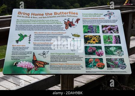 How to Attract Pollinators Bees, Birds, Beetles, Butterflies Sign Stock Photo