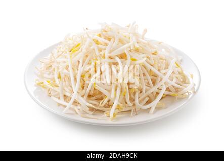 Bean sprouts in a white plate on a white background Stock Photo