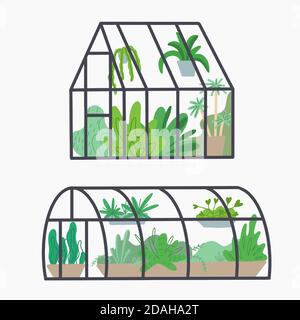 Set of different greenhouses with various plants. Glass orangery with flowers and grass. Hobbies and nature interest. Vector flat illustration for car Stock Vector