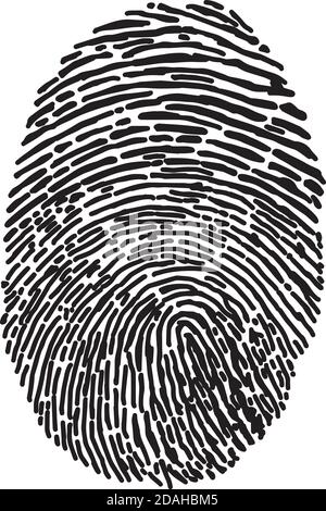 illustration vector hand draw doodles of black isolated fingerprint on white background Stock Vector