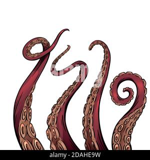 Set of color cartoon sketches of octopus tentacles. Creepy limbs of marine inhabitants. Vector object for logos, tattoos, cards and your design. Stock Vector