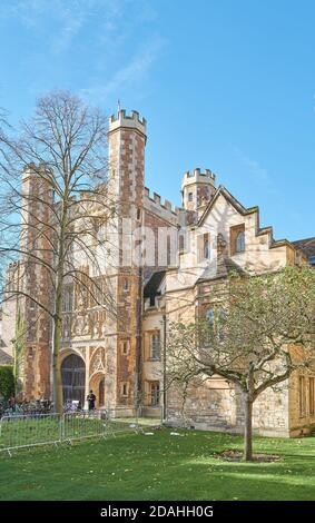 Newton's supposed apple tree on the lawn at the front facade and entrance to Trinity college, university of Cambridge, England, on a sunny autumn day. Stock Photo