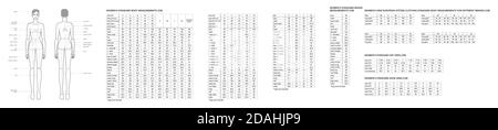 Male and female size chart anatomy human Vector Image