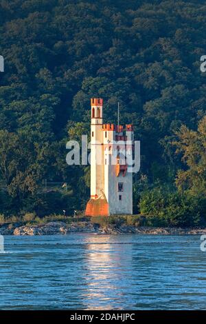 geography / travel, Germany, Rhineland-Palatinate, Bingen at Rhine, Binger Maeuseturm on the Maeusetur, Additional-Rights-Clearance-Info-Not-Available Stock Photo