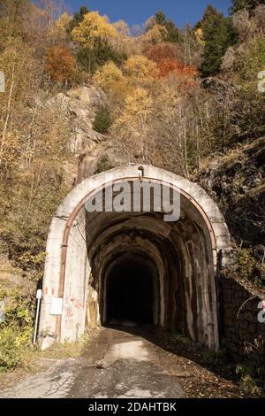 Dark tunnel on the road to Preda Rossa, with yellow trees in autumn, on a sunny day. Val Masino, Lombardy, Italy. Background or wallpaper. Vertical. Stock Photo