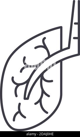 Bronchus icon, linear isolated illustration, thin line vector, web design sign, outline concept symbol with editable stroke on white background. Stock Vector