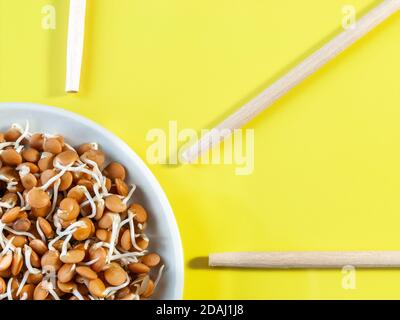 sprouted beans in a white plate and wooden sticks on a bright yellow background. High quality photo