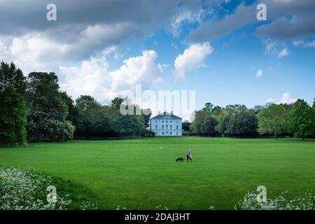 A woman walks her dog in the grounds of Marble Hill House. This 18th century Palladian villa was built for Henrietta Howard, Countess of Suffolk and Stock Photo