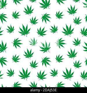 Cannabis plant vector seamless pattern. Simple stylized marijuana leaves on white background, vector illustration Stock Vector