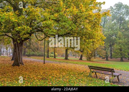 ovember im Park, Clara-Zetkin-Park in Leipzig im Herbst bei Nebel Stock Photo