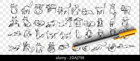 Cats doodle set Stock Vector