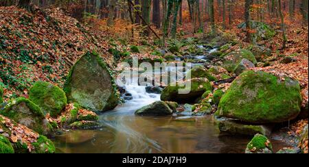 The river Sembera sources near to community of Jevany, Central Bohemia in an altitude of 415 m.