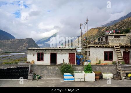 Typical Nepalese houses made of blocks with flowers in front of them in the city of Jomsom in Nepal, Mustang district. Stock Photo