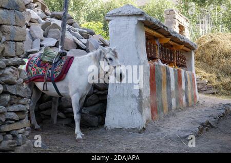 A harnessed riding horse stands near the sacred ritual drums, near the stones. Upper Mustang. Nepal. Stock Photo