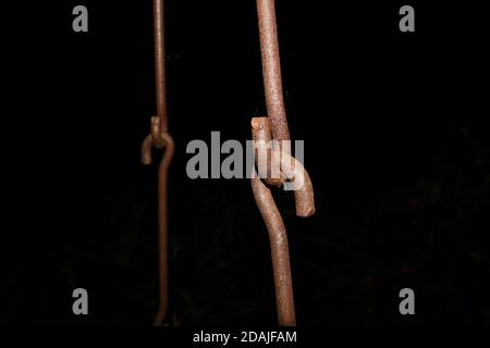 Rusted chains holding together. Swing metal chain Links closeup. Black background. Stock Photo