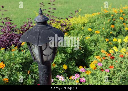 Beautiful lamp post in a garden with colorful flowers. Stock Photo