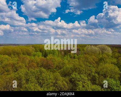 Blue cloudy skies over a dense forest, aerial view. Beautiful cloudy sky over the forest. Stock Photo