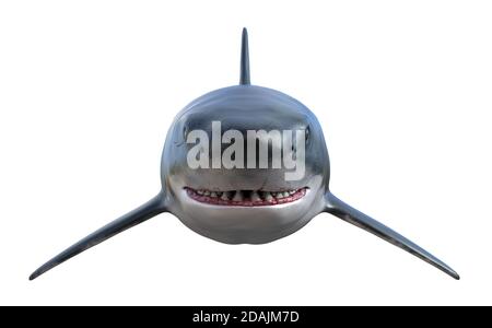 3d illustration of a front view of a large great white shark with slightly open jaws isolated on a white background. Stock Photo