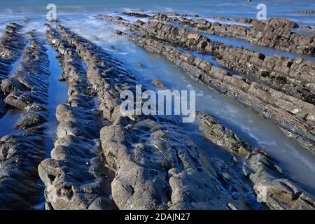 View of the rock ledges at Welcombe Mouth Beach on the Devon and Cornwall border Stock Photo