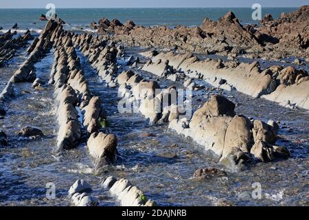 View of the rock ledges at Welcombe Mouth Beach on the Devon and Cornwall border Stock Photo