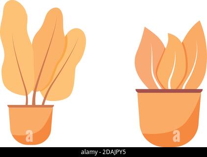 Orange houseplant flat object set Stock Vector