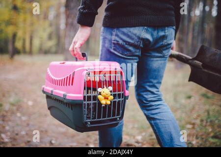 Theme is death of pet. Rear view of man walking along forest path and carrying shovel in one hand for digging grave, and in other transport box with Stock Photo