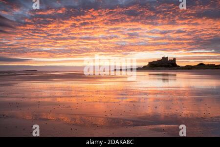 A vivid sunrise is reflected in the wet sand on Bamburgh Beach with the silhouetted castle sitting on a rocky outcrop on the horizon line. Stock Photo