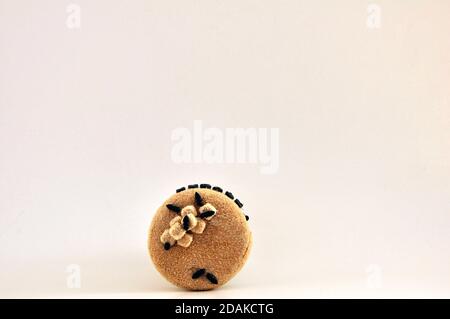 https://l450v.alamy.com/450v/2dakctg/glass-jar-sugar-jar-with-imitation-ants-made-in-biscuit-by-hand-top-view-on-white-background-copy-space-brazil-south-america-2dakctg.jpg