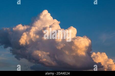 A massive cloud beautifully lit by the setting sun(cumulus congestus or towering cumulus). Stock Photo
