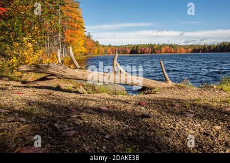 The Beaver Pond located in the Birch Hill Reservation in Royalston, Massachusetts Stock Photo