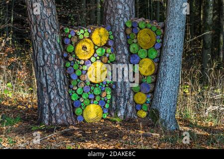 Colourfully painted log discs are stacked in circular patterns into two wall-like formations between pine trunks in the forest near Krögelstein, a district of Hollfeld in the Fränkische Schweiz region, Bavaria, Germany. The round discs in yellow, green and blue vary in size and suggest a forest art installation. Stock Photo
