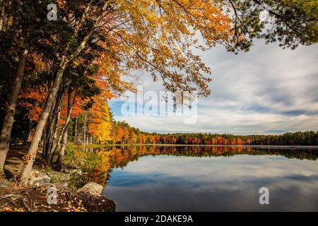 The Beaver Pond located in the Birch Hill Reservation in Royalston, Massachusetts Stock Photo