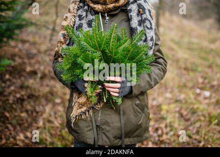 Woman holding spruce tree branches in forest Stock Photo