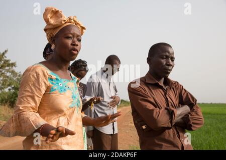 Selingue, Mali, 28th April 2015; Madame Sogoba, agricultural technician, advising  Farmer Sekou Dumbia, (pink jacket).  Staff and interns in the Agric Stock Photo