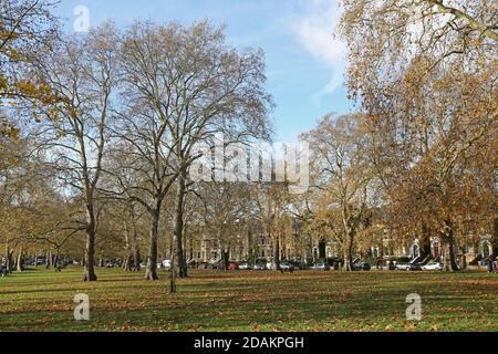 Goose Green, a tree-lined urban park in East Dulwich, London, UK. Sunny, autumn day. Stock Photo