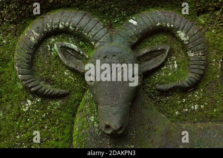 European mouflon (Ovis aries musimon) depicted in the rock relief by Czech amateur sculptor Vojtěch Kopic carved in the natural rocks from 1940 to 1978 in the area known now as Kopic's Rock Gallery (Kopicova skalní galerie) near the village of Kacanovy in the Bohemian Paradise (Český ráj) in North Bohemia, Czech Republic. Stock Photo