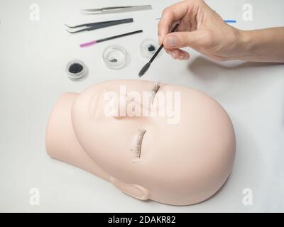 Training eyelash extensions. Work on coloring eyelashes on a mannequin. Stock Photo