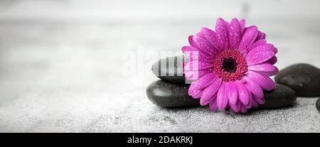 black stones and purple flower on white marble background. beauty treatment concept. banner copy space Stock Photo